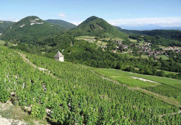 BALADES | Plaisir de vivre et de randonner en Bugey